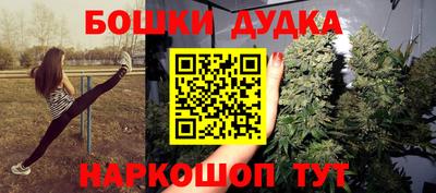 прущие крисы Камышлов