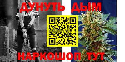 прущие крисы Камышлов