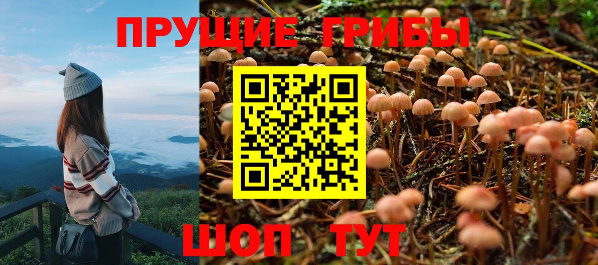 Псилоцибиновые грибы GOLDEN TEACHER  Галлюциногенные грибы прущие грибы  Камень-на-Оби  Вход с VPN 